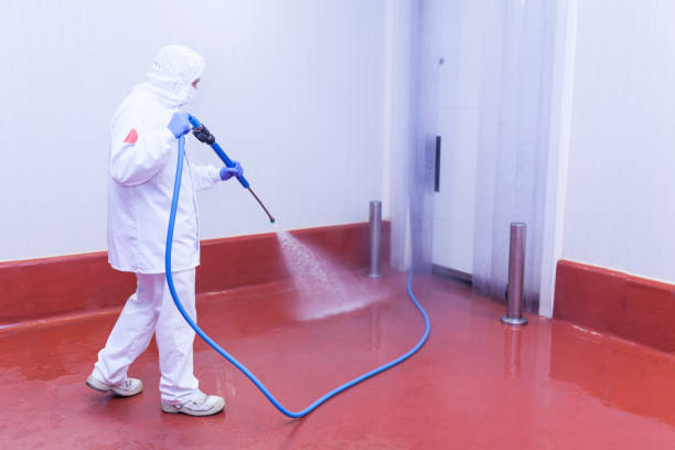 Best Graffiti Removal  in Wilberforce, OH