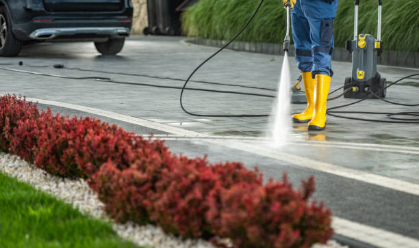 Best Animal Enclosure Cleaning  in Wilberforce, OH